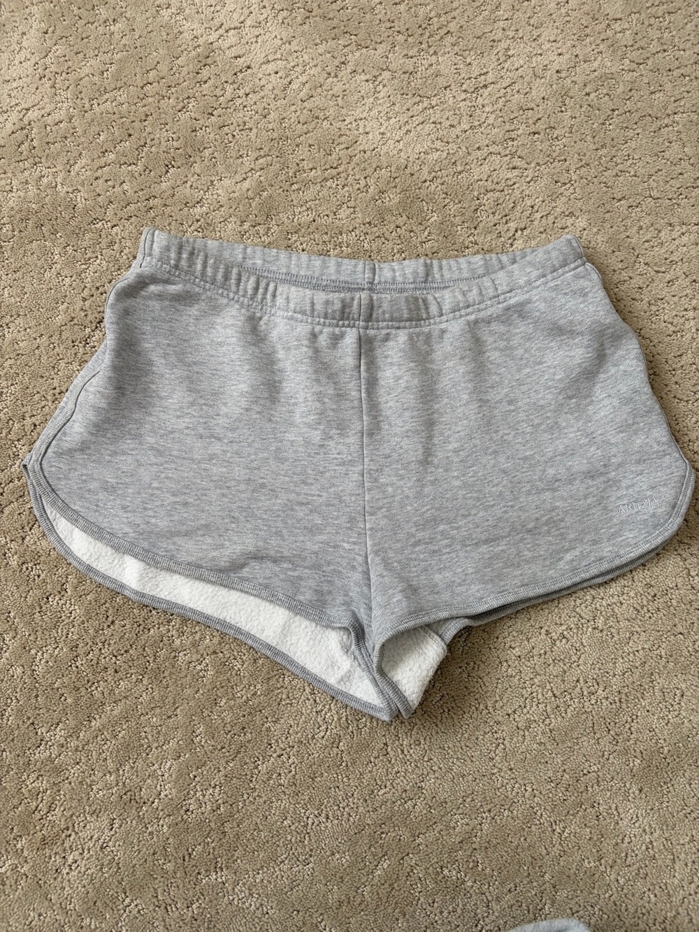 Aritzia grey sweatshorts medium
